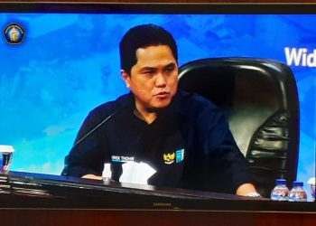 Erick Komitmen Dorong PLN Menjadi BUMN Sehat